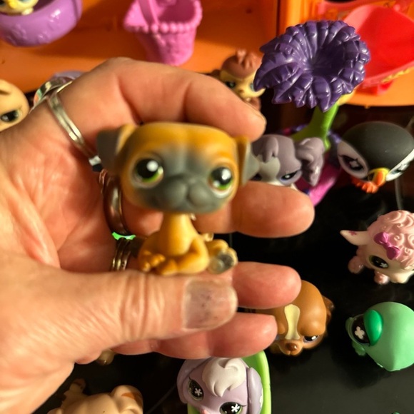 Littlest Pet Shop Orange Playset Dolls - Picture 11 of 12